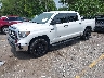 5TFEY5F18MX****** Used and Repairable 2021 Toyota Tundra in West Palm Beach