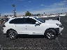WP1AA2A22GK****** Used 2016 Porsche Cayenne in Nevada State