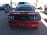 1FA6P8CF0L5****** Usados 2020 Ford Mustang