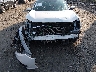 19XFC2F65KE****** Salvamento y Reparables 2019 Honda Civic en Estado de Pennsylvania