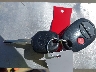 5TFHY5F15GX****** Salvage 2016 Toyota Tundra in California State