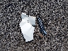 5FNRL5H65GB****** Wrecked 2016 Honda Odyssey in South Carolina State