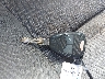 1D7HU18277S****** Salvamento 2007 Dodge Ram 1500 en Estado de Texas