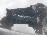 KNDERCAA1S7****** Used 2025 Kia Seltos in Dayton