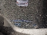 5YFEPMAE0MP****** Salvamento 2021 Toyota Corolla