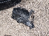 4S4GUHD64T3****** Salvage 2026 Subaru Crosstrek in Ohio State