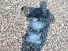 KNMAT2MV8KP****** Wrecked 2019 Nissan Rogue in Indiana State