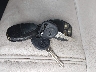 1GNKRGKD1FJ****** Salvage 2015 Chevrolet Traverse in Kansas State