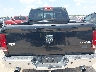 1D7RV1CT8AS****** Repairable 2010 Dodge Ram 1500 in Texas State