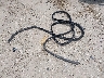 1FTYR2CM0GK****** Destrozados 2016 Ford Transit-250 en Estado de Florida