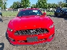 1FA6P8CF0H5****** Destrozados 2017 Ford Mustang en Estado de Nueva Jersey