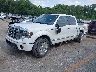 1FTFW1ET5EF****** Used and Repairable 2014 Ford F-150 in Kansas City