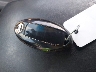 1N4AL3AP4FN****** Salvamento 2015 Nissan Altima en Estado de Kentucky