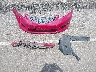JHMGE8H48AC****** Wrecked 2010 Honda Fit in Nebraska State