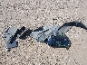 3TMCZ5AN7MM****** Wrecked 2021 Toyota Tacoma in California State