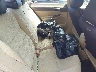2HGFA15528H****** Destrozados 2008 Honda Civic en Providence