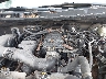 5TBBT54188S****** Repairable 2008 Toyota Tundra in Albany