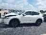 JM3KFACM8M0****** Reparables 2021 Mazda CX-5 en Estado de Florida