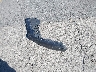 5YJ3E1EA8JF****** Wrecked 2018 Tesla Model 3 in California State