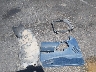 1FTCR15X4SP****** Wrecked 1995 Ford Ranger in Nevada State