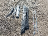 2T2BK1BA5FC****** Wrecked 2015 Lexus RX 350 in Virginia State