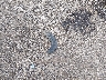 1HGCV1F15JA****** Wrecked 2018 Honda Accord in Ohio State