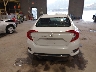 2HGFC2F66KH****** Destrozados 2019 Honda Civic