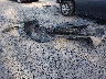 JM3TCADY7G0****** Destrozados 2016 Mazda CX-9 en Estado de Carolina del Sur