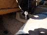 1J4FY29P2WP****** Salvage 1998 Jeep Wrangler in Ohio State
