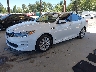 5XXGT4L36HG****** Usados y Reparables 2017 Kia Optima en Seattle
