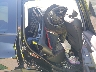 JF2SKAMC1LH****** Wrecked 2020 Subaru Forester in Altoona