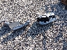 1HD1PXL11LB****** Destrozados 2020 Harley-Davidson CVO Street Glide en Estado de Ohio