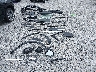 LRBFZRR42PD****** Wrecked 2023 Buick Envision in North Carolina State