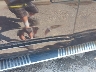 1FTFX1ET2DF****** Salvage and Wrecked 2013 Ford F-150 in Akron Canton