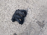 1B3ES56C12D****** Wrecked 2002 Dodge Neon in Illinois State