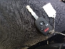 1HGCP3F84CA****** Salvamento 2012 Honda Accord en Estado de Luisiana