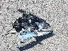 WVWAA71KX8W****** Wrecked 2008 Volkswagen Rabbit in Oregon State