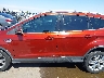 1FMCU0J96EU****** Salvage 2014 Ford Escape