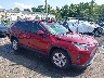 JTMP1RFV9KD****** Salvamento y Destrozados 2019 Toyota RAV4 en Northern Virginia