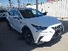 JTJYARBZ2K2****** Salvage and Wrecked 2019 Lexus NX in Anaheim Consolidated