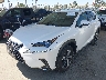 JTJYARBZ2K2****** Used and Repairable 2019 Lexus NX in Anaheim Consolidated