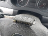 3VWB17AJ2EM****** Salvage 2014 Volkswagen Jetta in Ohio State