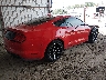 1FA6P8TH3P5****** Salvamento y Destrozados 2023 Ford Mustang en Estado de Luisiana