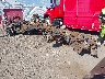1FT7W2BT6HE****** Salvage and Repairable 2017 Ford F-250 in Western Colorado