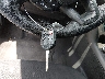1FADP3M29HL****** Salvage 2017 Ford Focus in Texas State