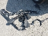 WDC0G4JBXGF****** Wrecked 2016 Mercedes-Benz GLC-Class in California State