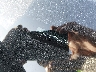 JN8BT3BA3PW****** Reparables 2023 Nissan Rogue