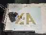 WVGRV7AX6HW****** Salvamento 2017 Volkswagen Tiguan en Estado de Florida