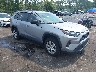 2T3H1RFV7PC****** Salvamento y Destrozados 2023 Toyota RAV4 en Jacksonville