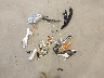 5NPDH4AE8DH****** Wrecked 2013 Hyundai Elantra in Utah State